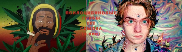 mix Козельск