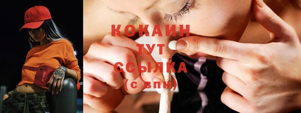 сатива Корсаков