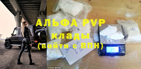 сатива Корсаков