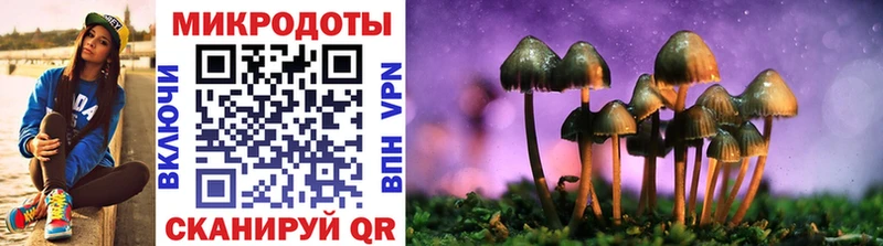 Псилоцибиновые грибы GOLDEN TEACHER  Купить  Тверь 