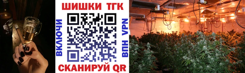 Каннабис сатива  Купить  Тверь 